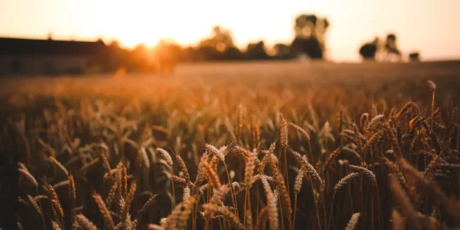 Construire sur un terrain agricole